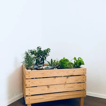 Urban Herbs Laibach
