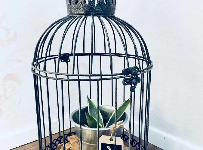 Urban Herbs Apartament *